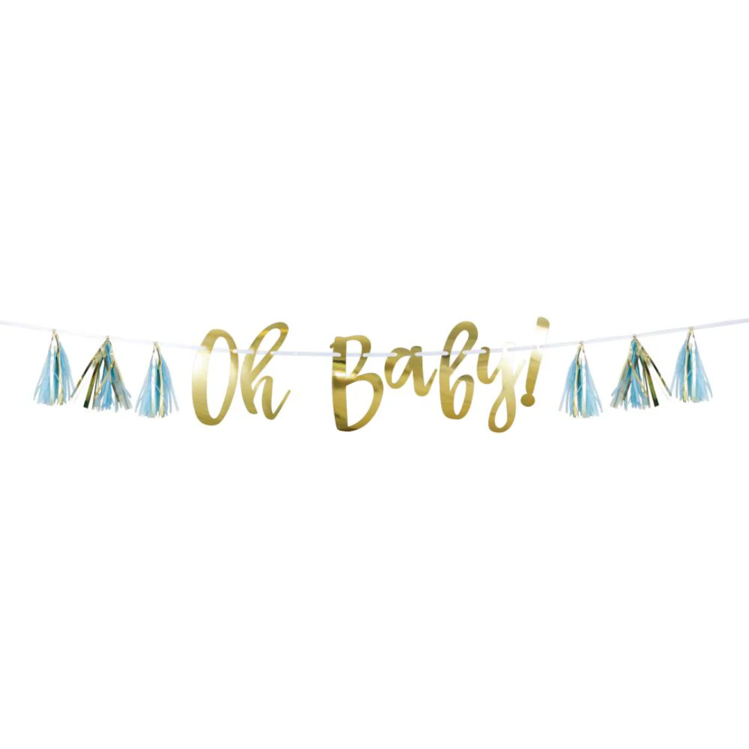 Oh Baby Banner Blue