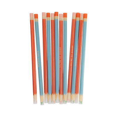 Colored Pencil Reusable Straws