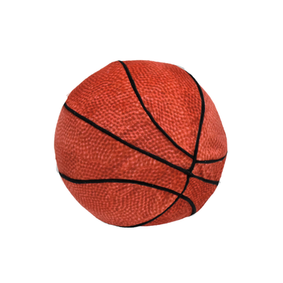 Basketball Slow Rise