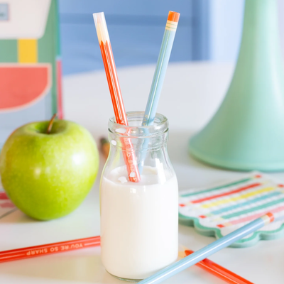 Colored Pencil Reusable Straws