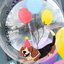 GLOBO BURBUJA DE PERRITO