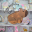 Globo Burbuja de Capivara