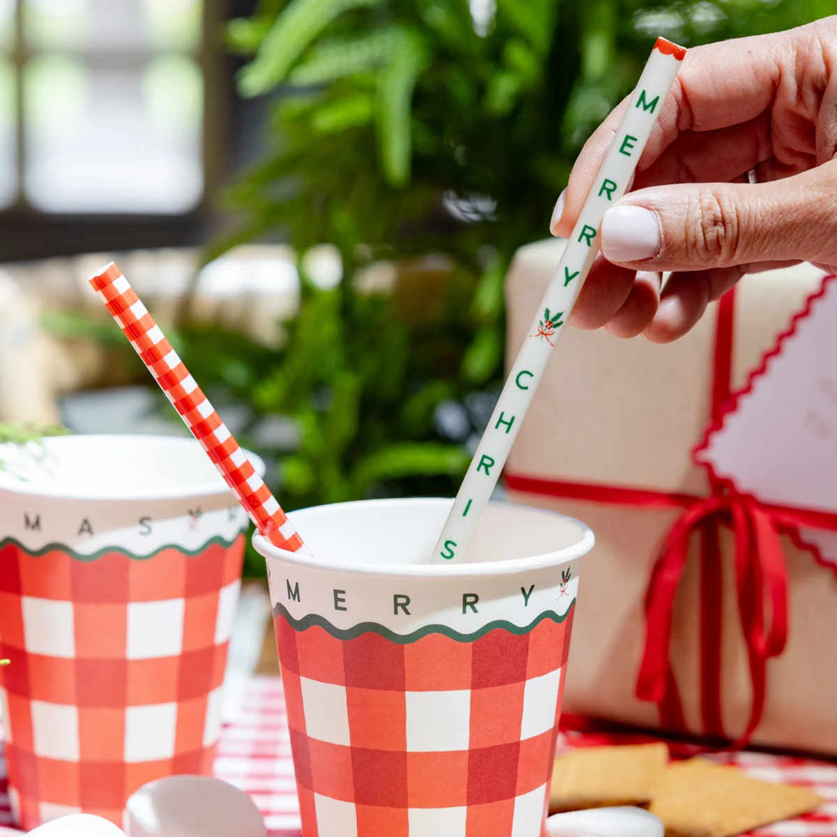 Gingham Merry Christmas Straws
