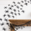 Glittered Wall Décor Spiders