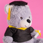 Oso de peluche Graduado 30 cm