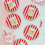 Plate 11" Red Pink Stripes