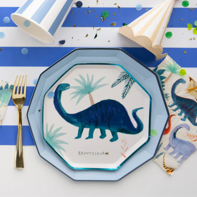 Sky Blue Large Plates