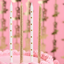 Wish Upon A Star Candles