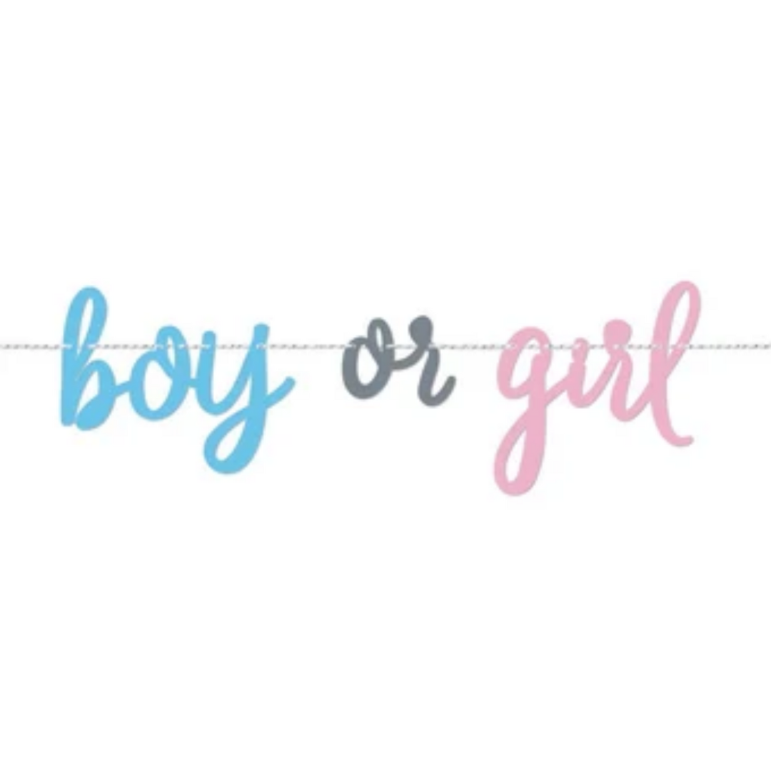 Banner Gender Reveal